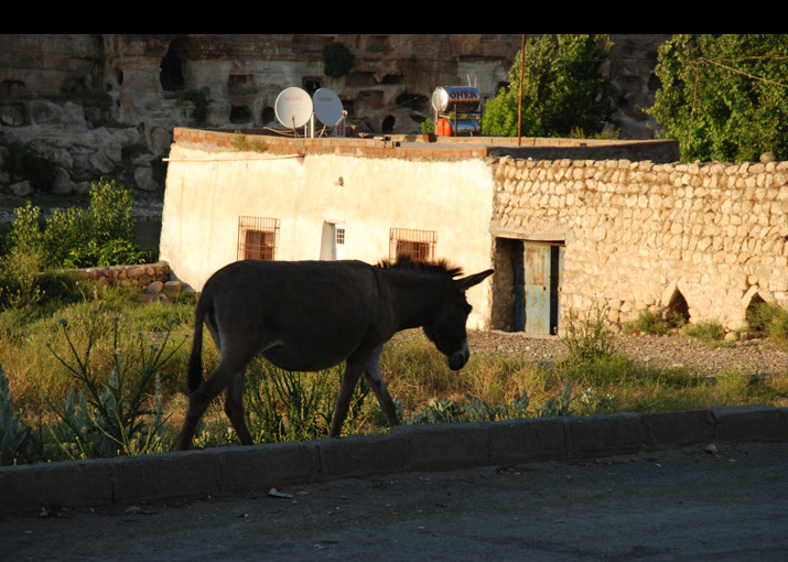 slideshow